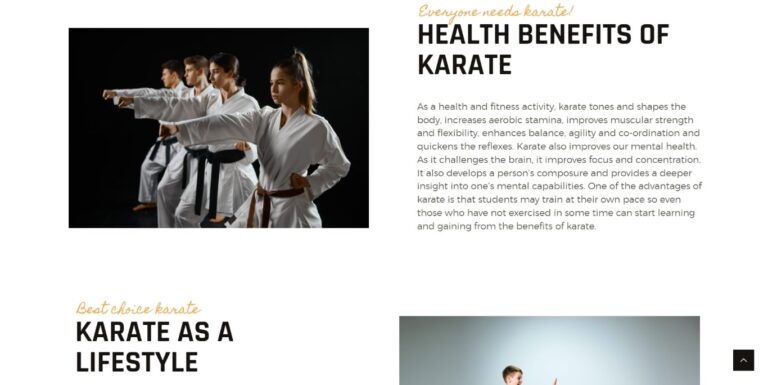 About-Us-Best-Choice-Karate-768x385-1