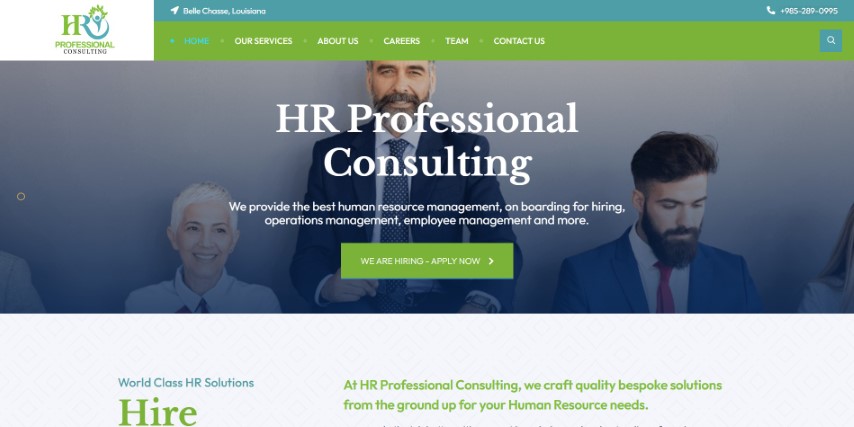 Home-HR-Professional-Consulting-Small